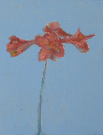 7.	Red and Blue Bookcover  “14 x 11”  2003